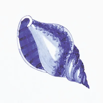 Revestimentos Artesanais Clássicos Antigua